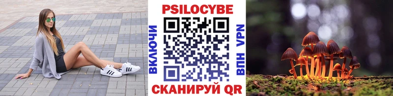 Галлюциногенные грибы Cubensis Купить Сим
